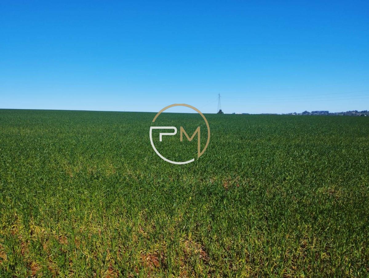 Área, 36.6ha, à venda em Cruz Alta, Educacional