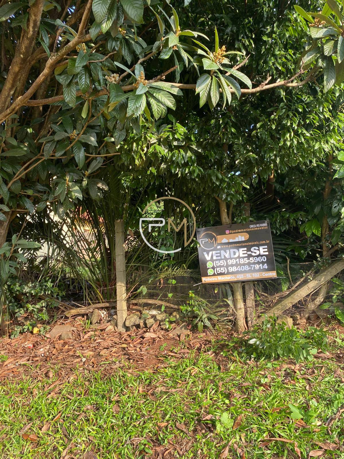 Terreno à venda em Cruz Alta, Pedro Bonini, 585m²