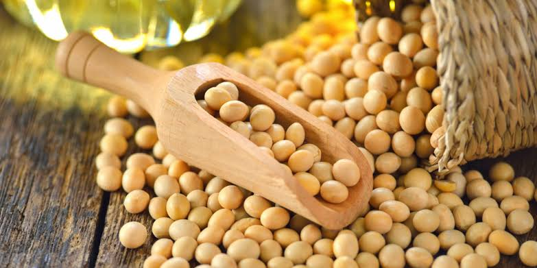 Cotação da Soja - Pedro Mariano Imóveis